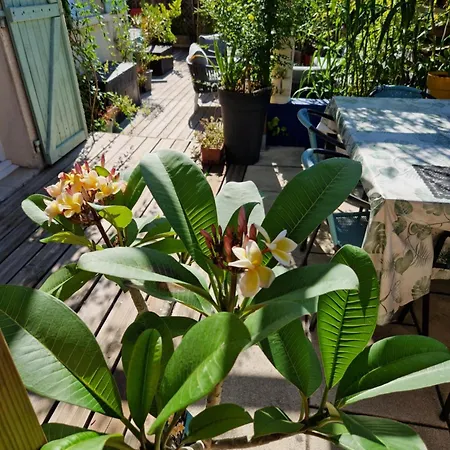 Hébergement de vacances Maison Tiki Tahiti